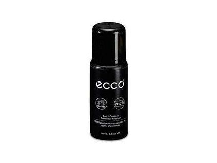 Ecco Footwear Cleaner