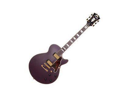D'Angelico Deluxe SS Stop-bar Matte