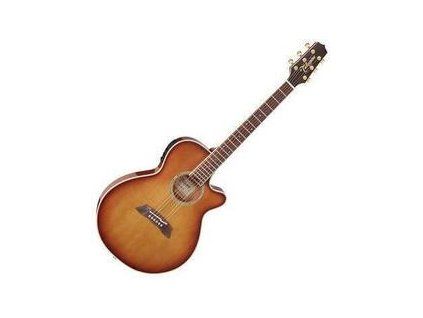 Takamine TSP138C-TB
