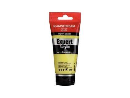 Amsterdam Acrylic Paint 75 ml Greenish Yellow Light