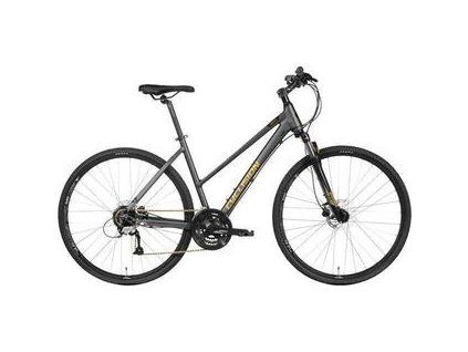 Cyclision Zodya 4 Gold Graphite 2020