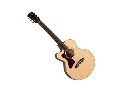 Gibson Parlor AG 2019 Antique Natural