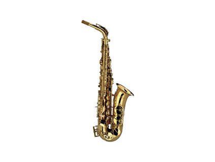 Schagerl A-900L Alto saxophone