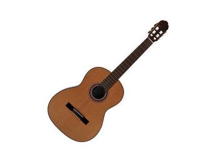 VGS Pro Andalus Model 4/4 Natural Gloss