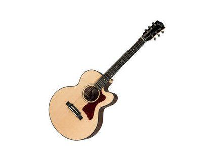 Gibson Parlor AG 2019 Walnut