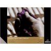 Rembrandt Pastel Dark 30 x cm 160 g