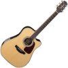Takamine Natural