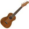 Concert Ukulele Natural