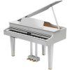 Roland GP 607 Gloss Digital Piano