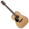Takamine Natural Satin