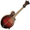 The Loar Brownburst
