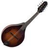 The Loar Brownburst
