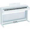 Casio AP Digital Piano