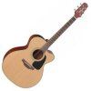 Takamine Natural
