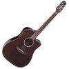Takamine Natural