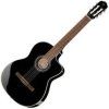 Takamine 4/4
