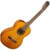 Takamine 4/4