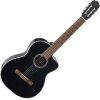 Takamine 4/4
