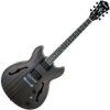 Ibanez Transparent Flat