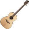 Takamine Natural