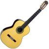 Takamine Natural