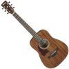 Ibanez Open Natural