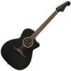 Fender Newporter Special