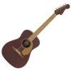 Fender Malibu Player WN