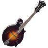 The Loar Sunburst