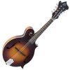 The Loar Sunburst