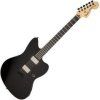 Fender Jim Root