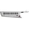 Roland AX-Edge