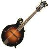 The Loar Sunburst