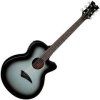 Dean Guitars AXS Performer A/E