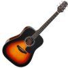 Takamine GD30
