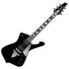 Ibanez Black
