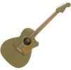 Fender Newporter Player