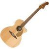 Fender Newporter Player