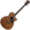 Ibanez Natural
