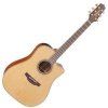 Takamine Natural