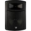 Laney Passive Loudspeaker