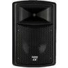 Laney Passive Loudspeaker