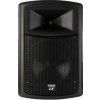 Laney Passive Loudspeaker