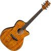 Dean Guitars AXS Exotic Cutaway A/E