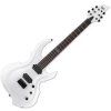 ESP LTD