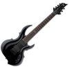 ESP LTD
