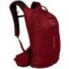 Osprey Raptor 10