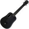 Lava Music Acoustic Concert Ukulele