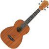 Ibanez Ukulele Open Pore Natural