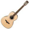 Ibanez Natural